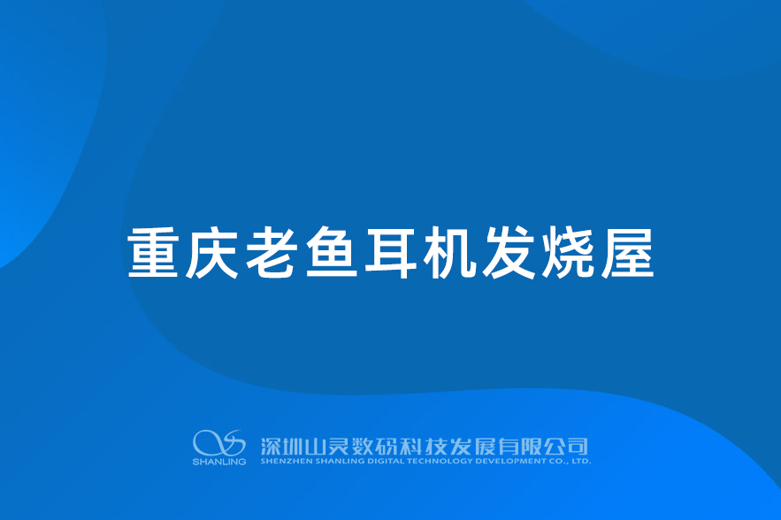 重庆老鱼耳机发热屋